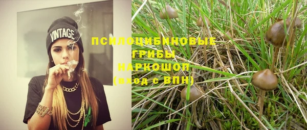 винт Липки