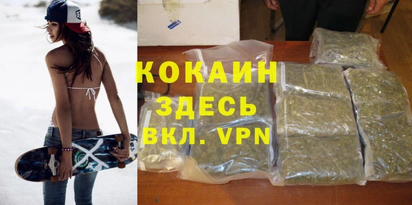 винт Липки